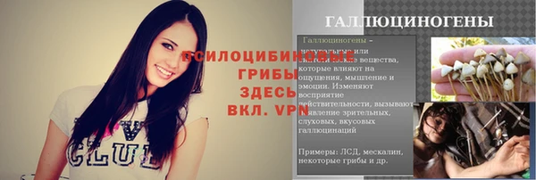 гашик Нязепетровск
