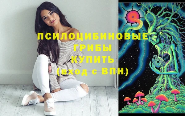 спиды Балахна